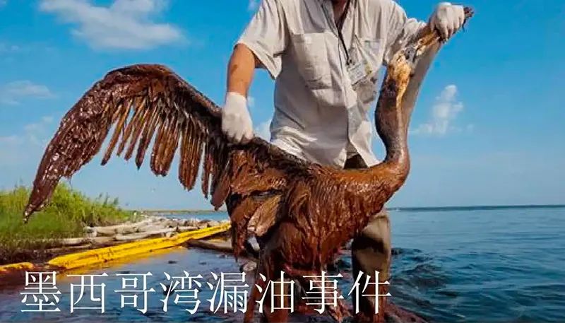 被海上溢油“染黑”的海岸线BB视讯环保热解技术助力守护海洋生命线